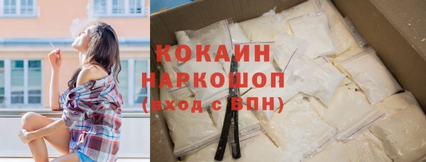 дмт Новодвинск